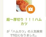 超〜厚切り !!!ハムカツ作り方10写真