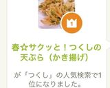 春☆サクッと!つくしの天ぷら(かき揚げ)作り方8写真