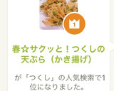 春☆サクッと！つくしの天ぷら（かき揚げ）作り方8写真