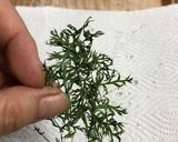捨てないで♪乾燥にんじんの葉作り方6写真