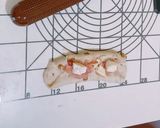 くるみチーズ作り方10写真