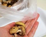 ミニきのこのトースター焼き作り方1写真