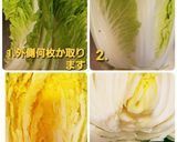 さっぱり～浅漬け白菜キムチ～自信作作り方1写真