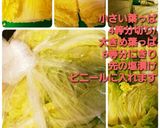 さっぱり～浅漬け白菜キムチ～自信作作り方3写真