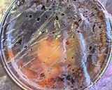 牛すき煮丼弁当作り方13写真