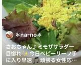 華やかなミモザサラダ♡作り方5写真