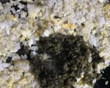 高菜チャーハン作り方4写真