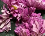 歯ざわりシャキシャキ食用菊のおひたし作り方1写真