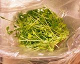 豆苗のナムル作り方1写真