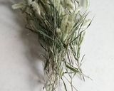 猫じゃらし*エノコログサ茶作り方1写真