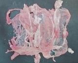 ☆一石二鳥☆肉&チヂミ食感を楽しみたい☆作り方3写真