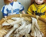 リカちゃん♡舞茸三つ葉赤みそドレッシング作り方10写真