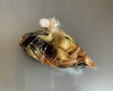 超簡単！茄子とみょうがの浅漬け作り方4写真