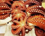 釣りご飯☆超タコ出汁で炊く極タコ飯作り方3写真
