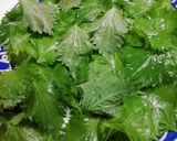 青じその簡単保存レンジ編(孫達に伝授）作り方4写真