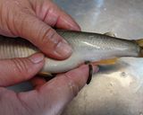 愛知の魚　失敗無し！鮎のオーブン焼き作り方1写真