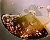本格中華！白菜をすし酢でラーパーツァイ作り方8写真