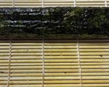 韓国海苔巻き（キンパ）作り方6写真