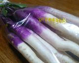 サクラ漬け♪作り方1写真