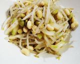 簡単に♪もやしとセロリのビーンズナムル作り方4写真
