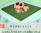 ミートピア特上ほねビスケット作り方6写真