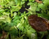 あさりのピリ辛パクチー丼作り方3写真