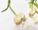 簡単！発芽ニンニクの味噌ラーメン鍋作り方2写真