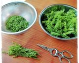 ご飯のお供に♪青じその実の塩漬け作り方1写真