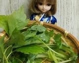 リカちゃん♡三つ葉味ぽん卵炒め₍•ʚ•₎作り方1写真