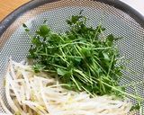 2回目収穫の豆苗とサバ缶のサラダ♪作り方2写真