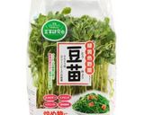 豆苗は切る前に♡初回採取量1.5倍育て方作り方4写真