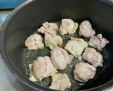 パパイヤ入りスープカレー作り方3写真