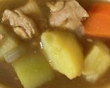 パパイヤ入りスープカレー作り方6写真
