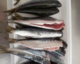 いわしの梅煮作り方1写真