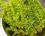 アク抜きなし！紫蘇の実の甘辛味噌炒め作り方1写真