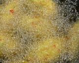 豆腐団子揚げ作り方5写真
