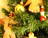クリスマス★シナモンクッキー作り方12写真