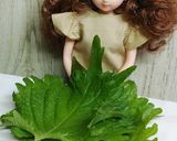 リカちゃん♡サーモン大葉中華和え作り方1写真