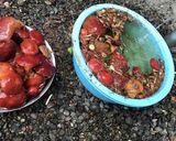 旦那レシピ落葉（らくよう）きのこの下処理作り方6写真