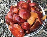 旦那レシピ落葉（らくよう）きのこの下処理作り方7写真