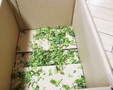 丹波黒豆 美味しい枝豆の茹で方作り方3写真