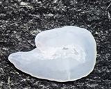 サンマでお月見作り方6写真