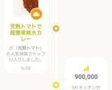 完熟トマトで超簡単無水カレー作り方13写真