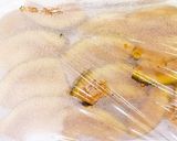 野菜スティック(ハニーガーリックソース)作り方3写真