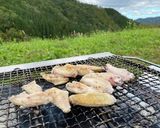 【キャンプ飯】手羽先の岩塩焼き作り方2写真