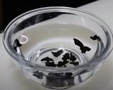 あっという間!きくらげ卵炒め作り方1写真