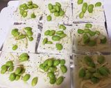 簡単つまみ！焼売皮で　パリパリ枝豆チーズ作り方2写真