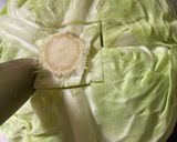 レンジ使用⭐︎簡単美味しいロールキャベツ作り方1写真