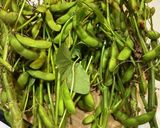 枝付き枝豆の処理作り方1写真