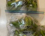 枝付き枝豆の処理作り方4写真